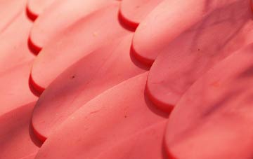 Tonypandy plastic roof costs